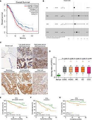 GPR12 Inhibits Apoptosis in Epithelial Ovarian Cancer via the Activation of ERK1/2 Signaling